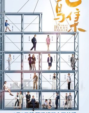 Drama China Stray Birds Drama China Stray Birds